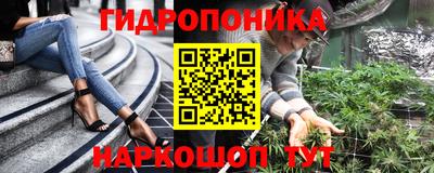 стафф Каменск-Шахтинский