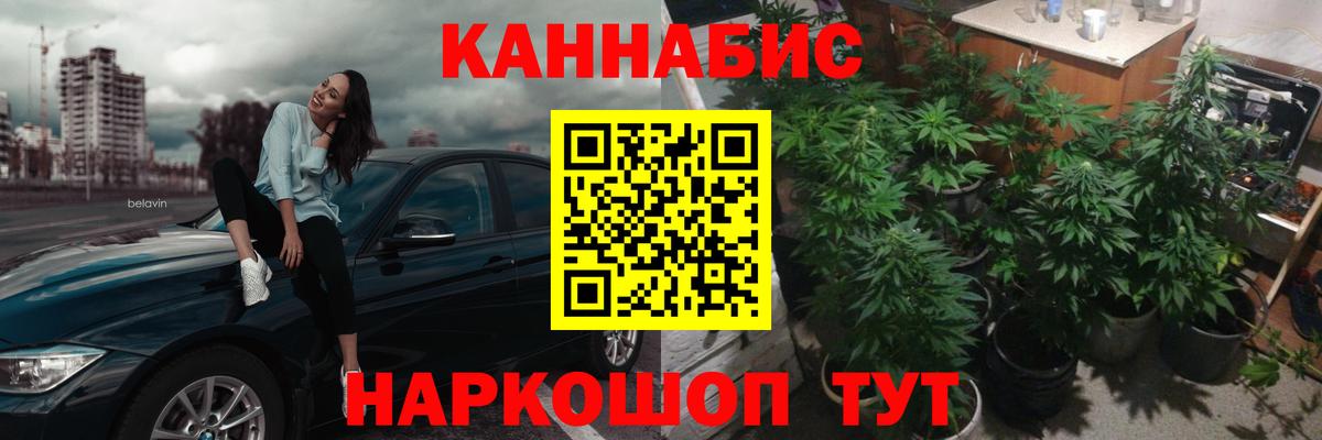 Бошки Шишки конопля Брянск